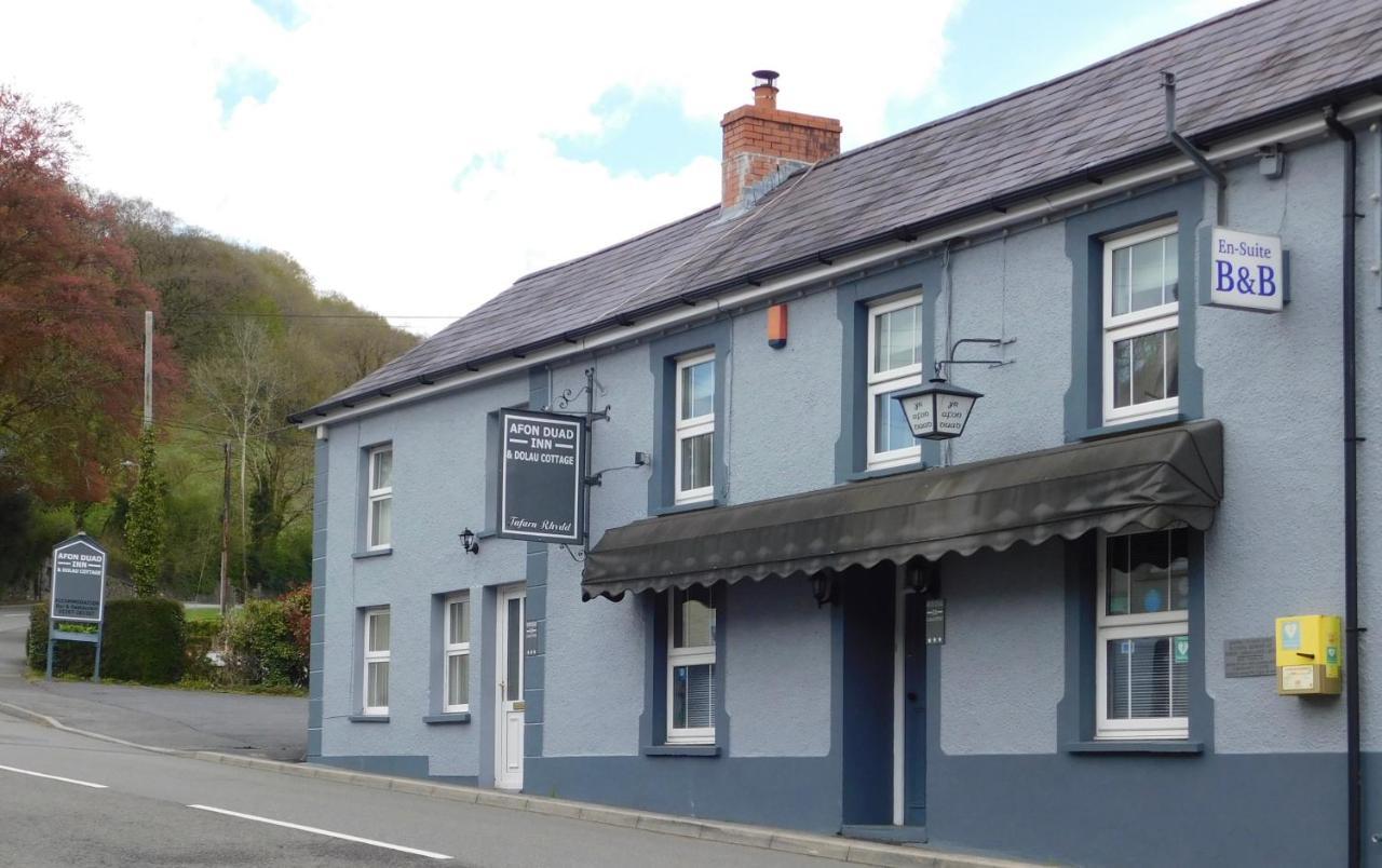 Afon Duad Inn Cwm-Duad Eksteriør billede
